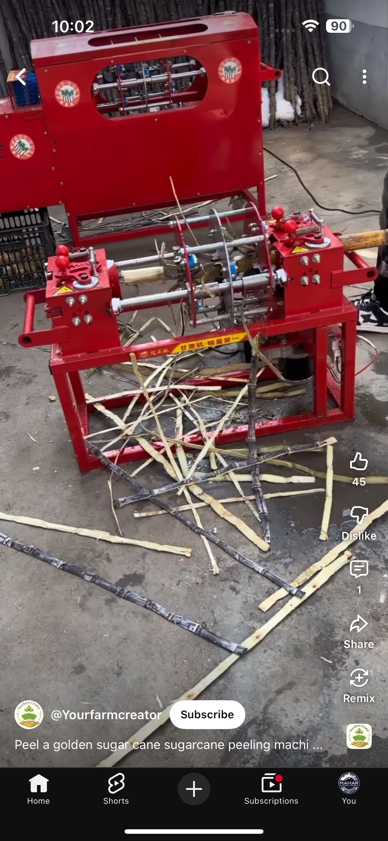 Sugarcane peeling machine with 1hp